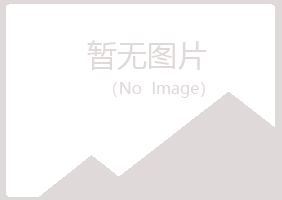 铁法夏岚艺术有限公司